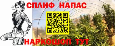 ГАЛЛЮЦИНОГЕННЫЕ ГРИБЫ Мариинск