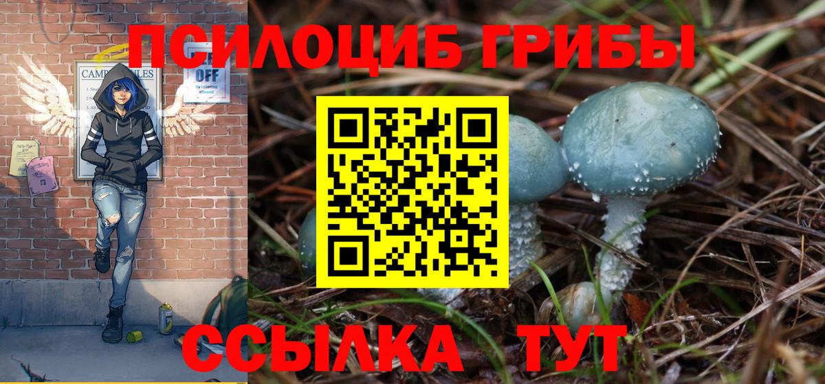 закладка  Псилоцибиновые грибы мицелий  Вход с VPN  Дмитров 