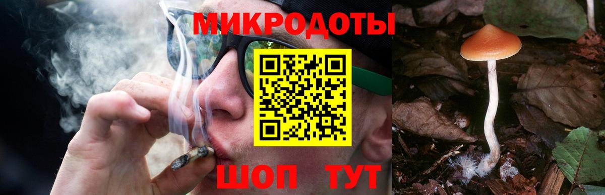 Галлюциногенные грибы Psilocybine cubensis Дмитров